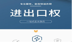 進出口權申請辦理流程：簡單易懂的指南